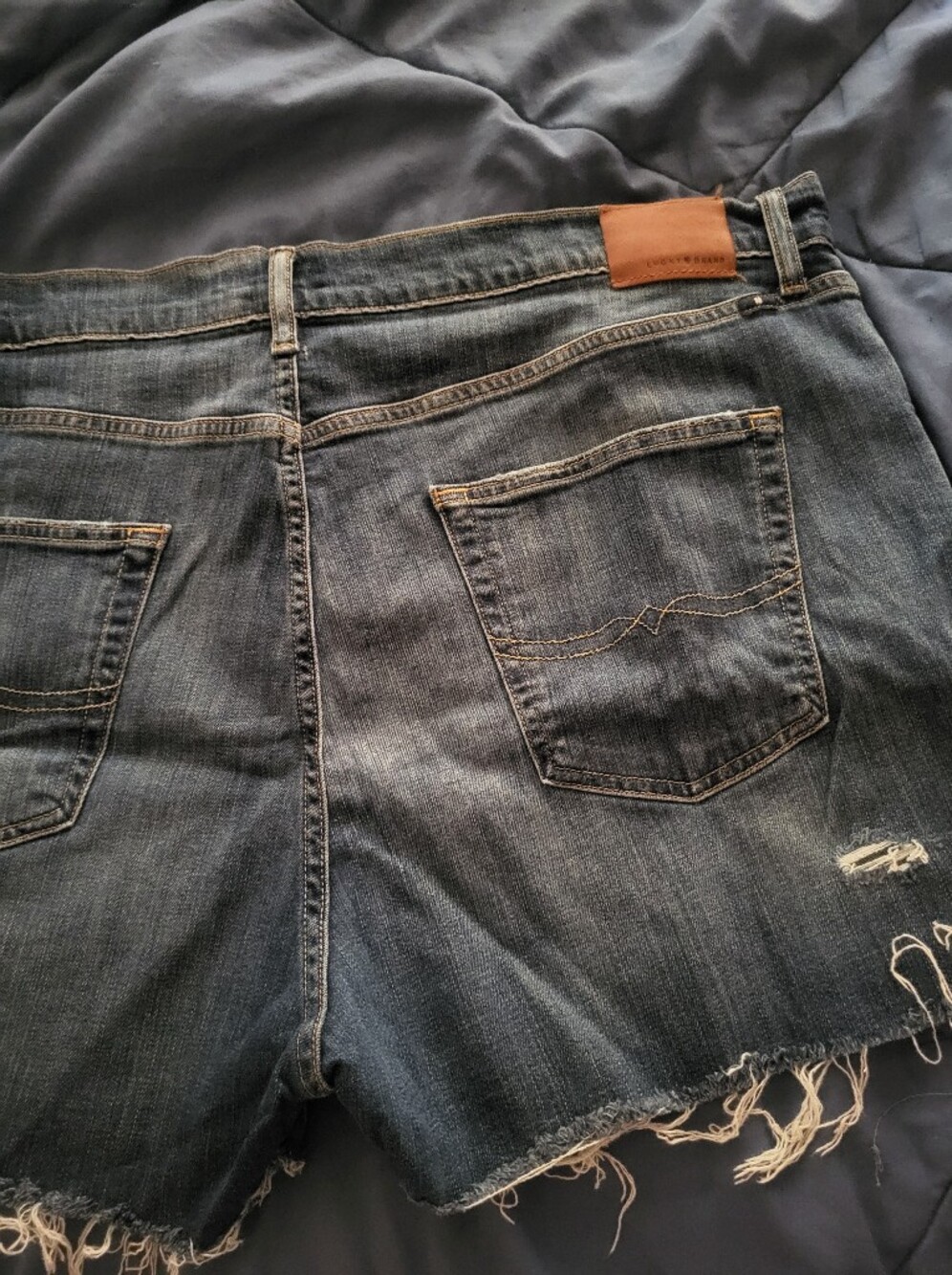 Lucky Brand Dark Blue Distressed Shorts~Size 20. - Picture 2 of 9